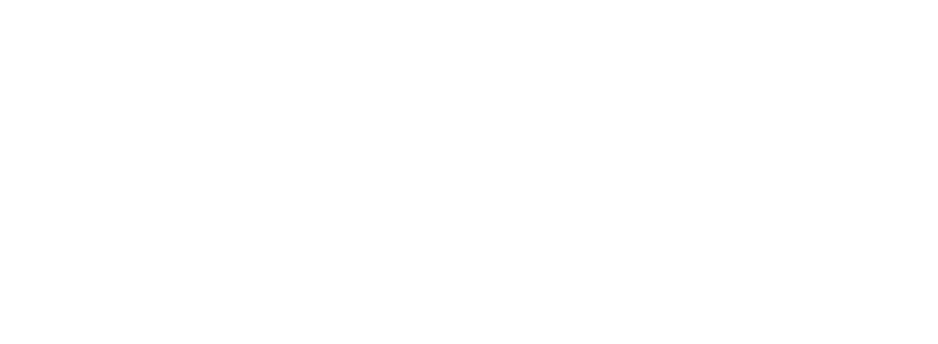 Logo White